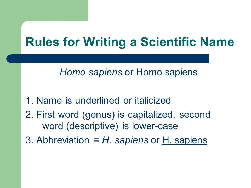 What’s in a name? Scientific names for animals in popular writing